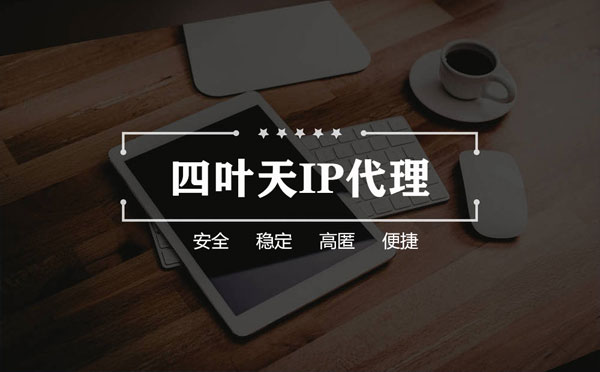 【博尔塔拉代理IP】如何快速搭建代理IP？怎么检查代理的效果？