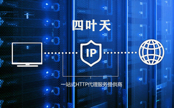 【博尔塔拉代理IP】使用代理IP遇到的常见问题汇总